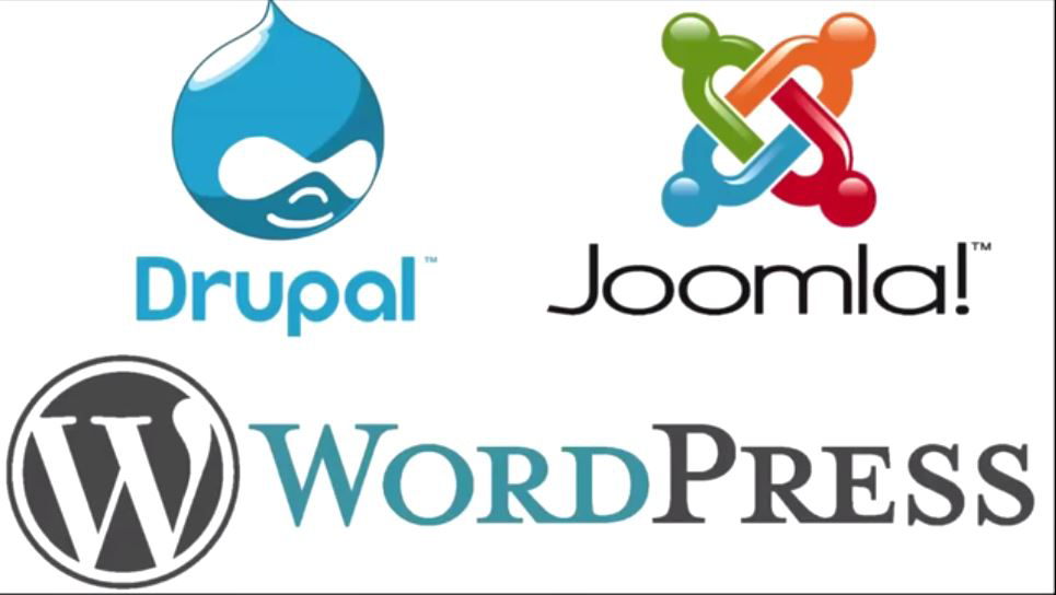 drupal vs wordpress features