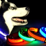 4-light-up-dog-collar
