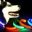 LED Dog Collar Review
