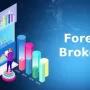Best Forex Brokers Best-Forex-Brokers