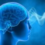 The Science of Mindfulness How it Affects Your Brain and Body